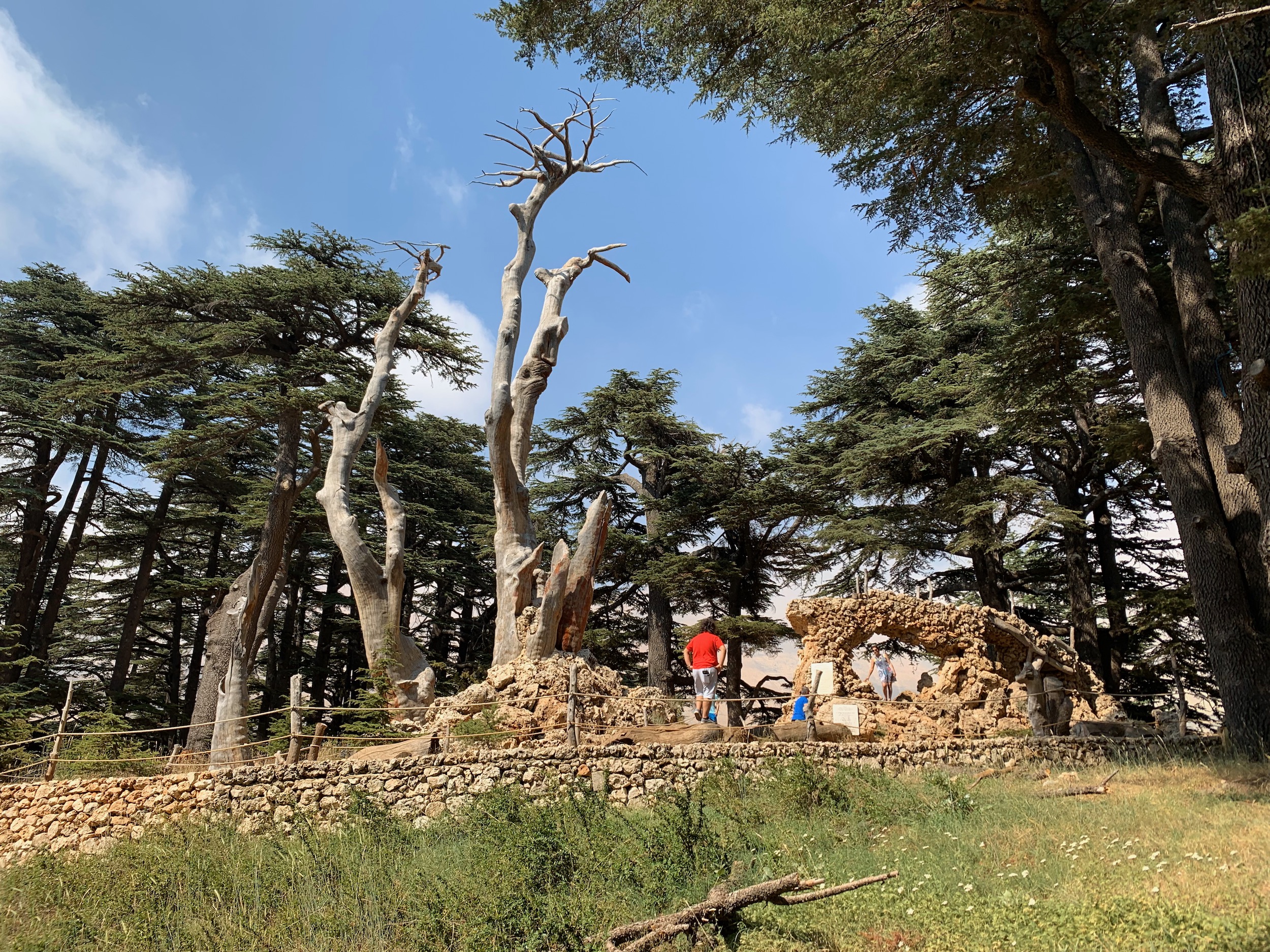 Americans from America. So, I am from Canada.